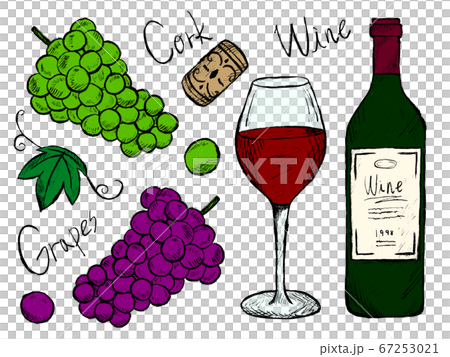 Handwritten Illustration Image Of Wine And Grapes Stock Illustration