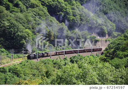 上越線　上牧－水上　JR東日本　D51-498（高崎）＋C58-363（秩父鉄道） 67254597