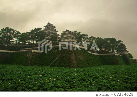 島原城 67254629