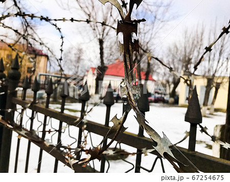 Iron metal sharp dangerous protective barbed wire 67254675