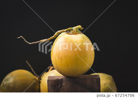 Fresh coconut- healthy tropical fruit Fresh coconut- healthy tropical fruit 67254706