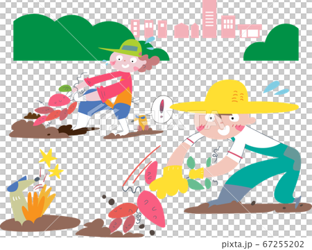 Illustration of a boy and a woman digging sweet potatoes in the field 67255202
