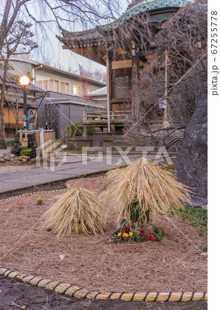 [東京・日暮里] 谷中七福神の天王寺の庭園に飾ってある藁の雪吊の小さいクリスマスホーリー。 67255778