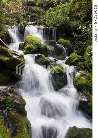 日本百名山の槍ヶ岳への登山道の横尾山荘付近の梓川の支流（滝）とコケ 67256018