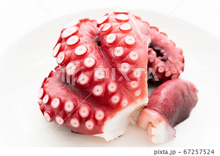 たこ（ゆで蛸） 67257524