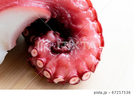 たこ（ゆで蛸） 67257536