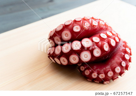 たこ（ゆで蛸） 67257547