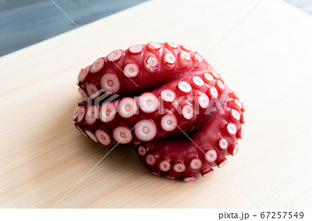 たこ（ゆで蛸） 67257549