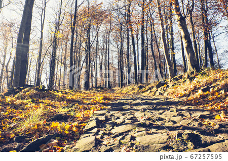 Basalt stones on volcano hill, autumn forest Basalt stones on volcano hill, autumn forest 67257595