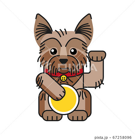 Lucky yorkshire Lucky yorkshire 67258096