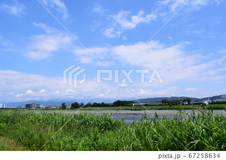 酒匂川河川敷 小田原大橋方面 遊歩道 67258634