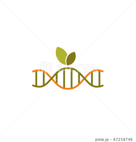 dna eco vector design template illustration 67258746