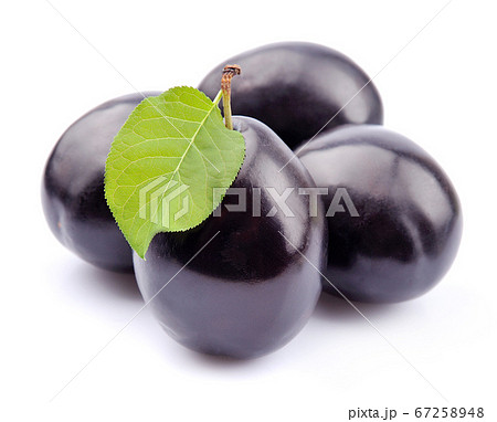 Plums with leaves isolated on white backgrounds. 67258948