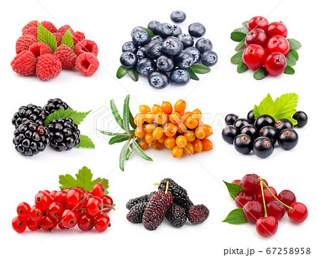 Collage of berry 67258958