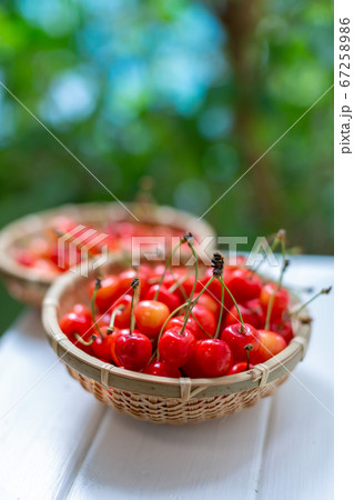 サクランボ　さくらんぼ 67258986