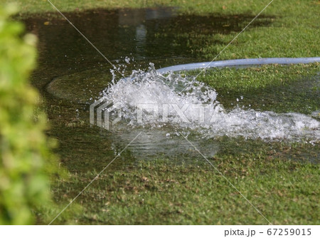 Detail of a hose watering the garden 67259015