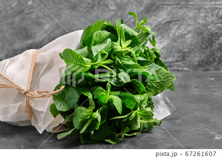A bunch of mint, spearmint, peppermint tied with twine on a gray background. mint-flavored leaves. Mint bunch. A bunch of mint, spearmint, peppermint tied with twine on a gray background. mint-flavored leaves. Mint bunch. 67261607