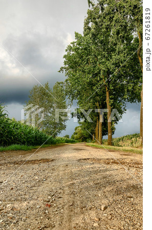 Dark storm skies looming over corn fields.  Dark storm skies looming over corn fields.  67261819