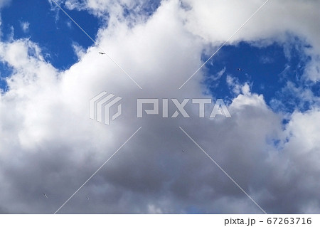 Birds in the cloudy sky in the distance. 67263716