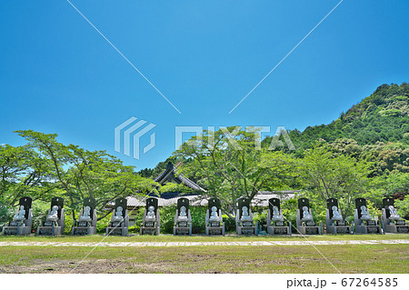【白毫寺】 兵庫県丹波市市島町白毫寺 【白毫寺】 兵庫県丹波市市島町白毫寺 67264585