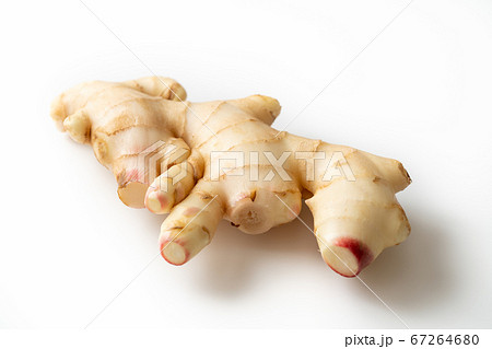 新生姜 新生姜 67264680