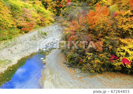紅葉の白砂渓谷 紅葉の白砂渓谷 67264855