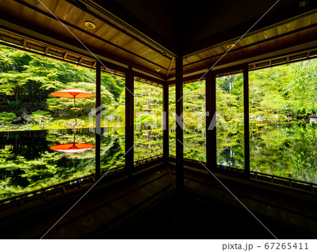 新緑の旧竹林院 67265411