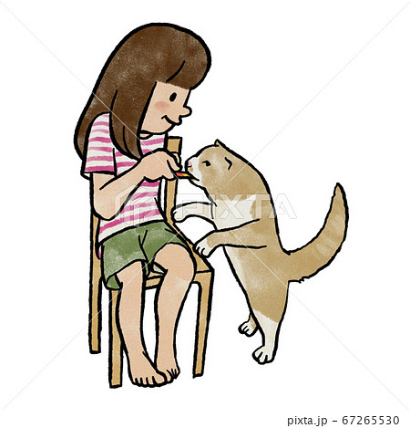猫におやつをあげる女の子 67265530