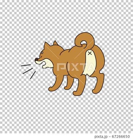 Barking shiba inu 67266650