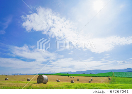 牧草ロールと北海道の大地 67267041