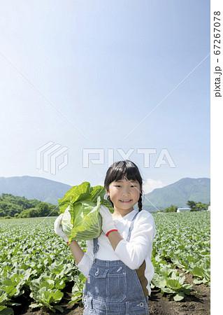 キャベツ畑の前でキャベツを抱える子供 67267078