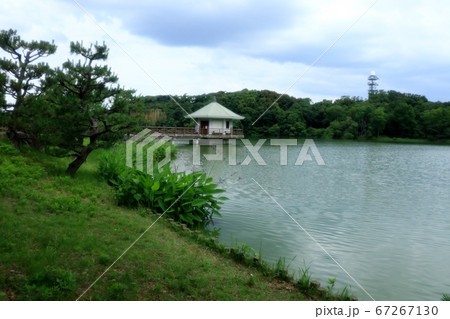 山田池公園:新緑:池の風景:浮御堂 山田池公園:新緑:池の風景:浮御堂 67267130