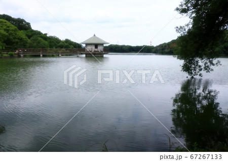 山田池公園:新緑:池の風景:浮御堂 山田池公園:新緑:池の風景:浮御堂 67267133