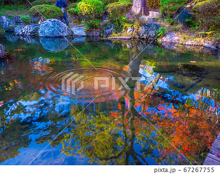 和歌山城の紅葉渓庭園 67267755