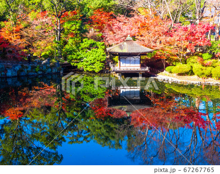 和歌山城の紅葉渓庭園と鳶魚閣 67267765