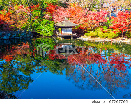 和歌山城の紅葉渓庭園と鳶魚閣 67267766