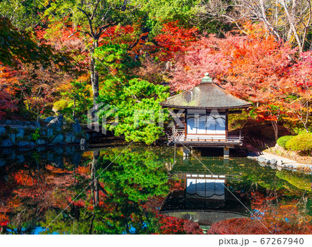 和歌山城の紅葉渓庭園と鳶魚閣 67267940