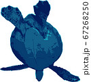 空を飛ぶウミガメ 67268250