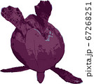 空を飛ぶウミガメ 67268251
