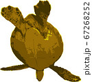 空を飛ぶウミガメ 67268252