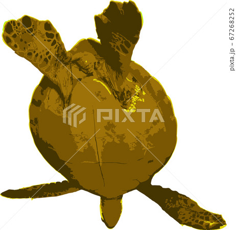 空を飛ぶウミガメ 67268252