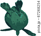 空を飛ぶウミガメ 67268254