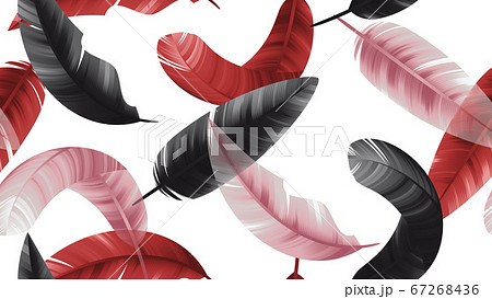 Seamless pattern, black, red and pink feathers on white background Seamless pattern, black, red and pink feathers on white background 67268436