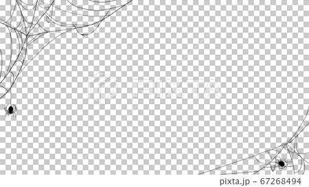 不気味な蜘蛛の巣のフレーム 67268494