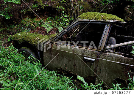 林道脇に捨てられた廃車 67268577