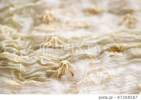エスニック刺繍入りのおしゃれなストールのクローズアップ写真　背景素材 67268587