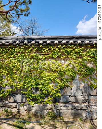 風景 韓国の風景 韓屋 67269133