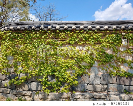 風景 韓国の風景 韓屋 67269135