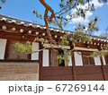 風景 韓国の風景 韓屋 67269144