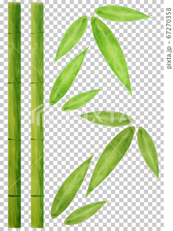 bamboo bamboo 67270358